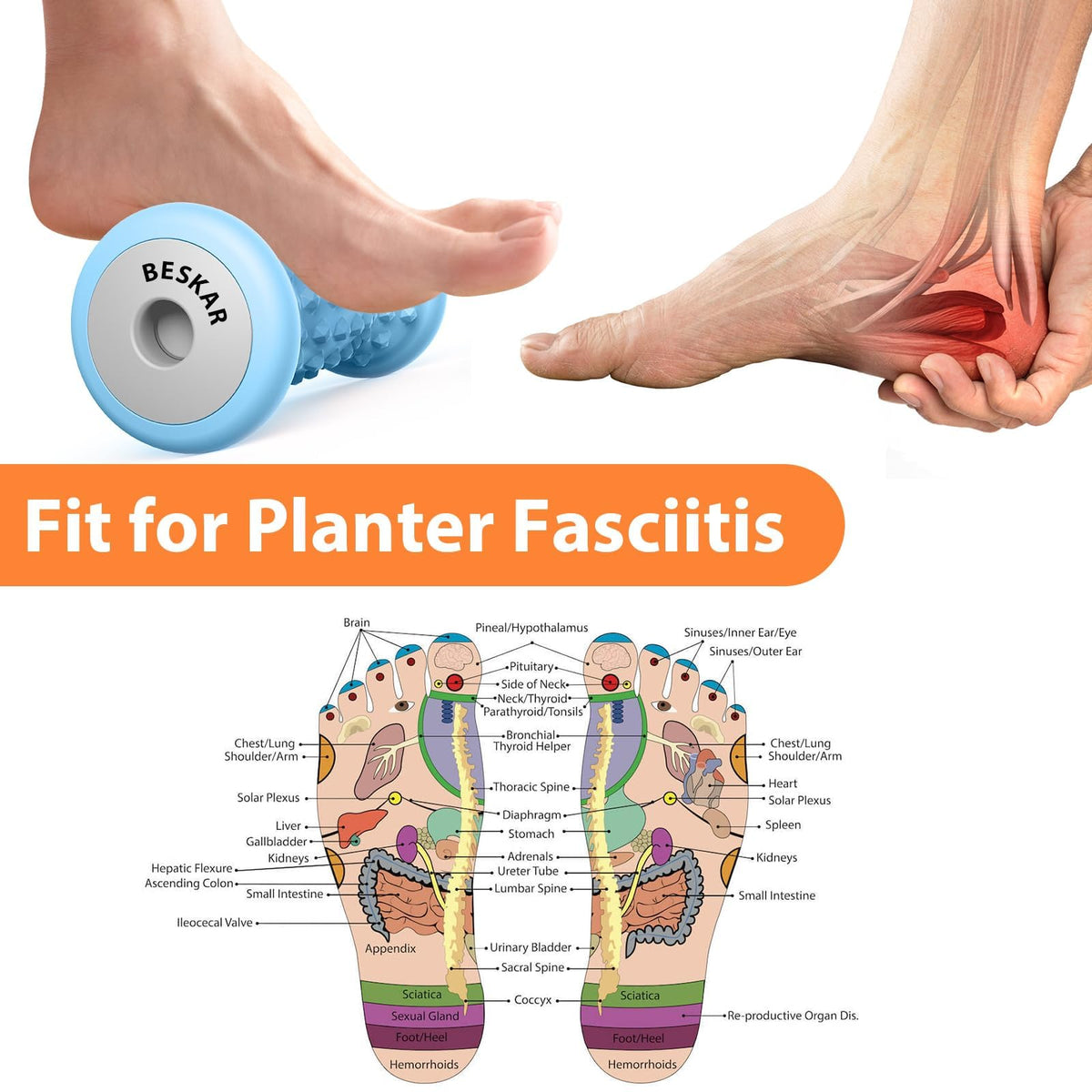 BESKAR Foot Massager Roller for Plantar Fasciitis Relief