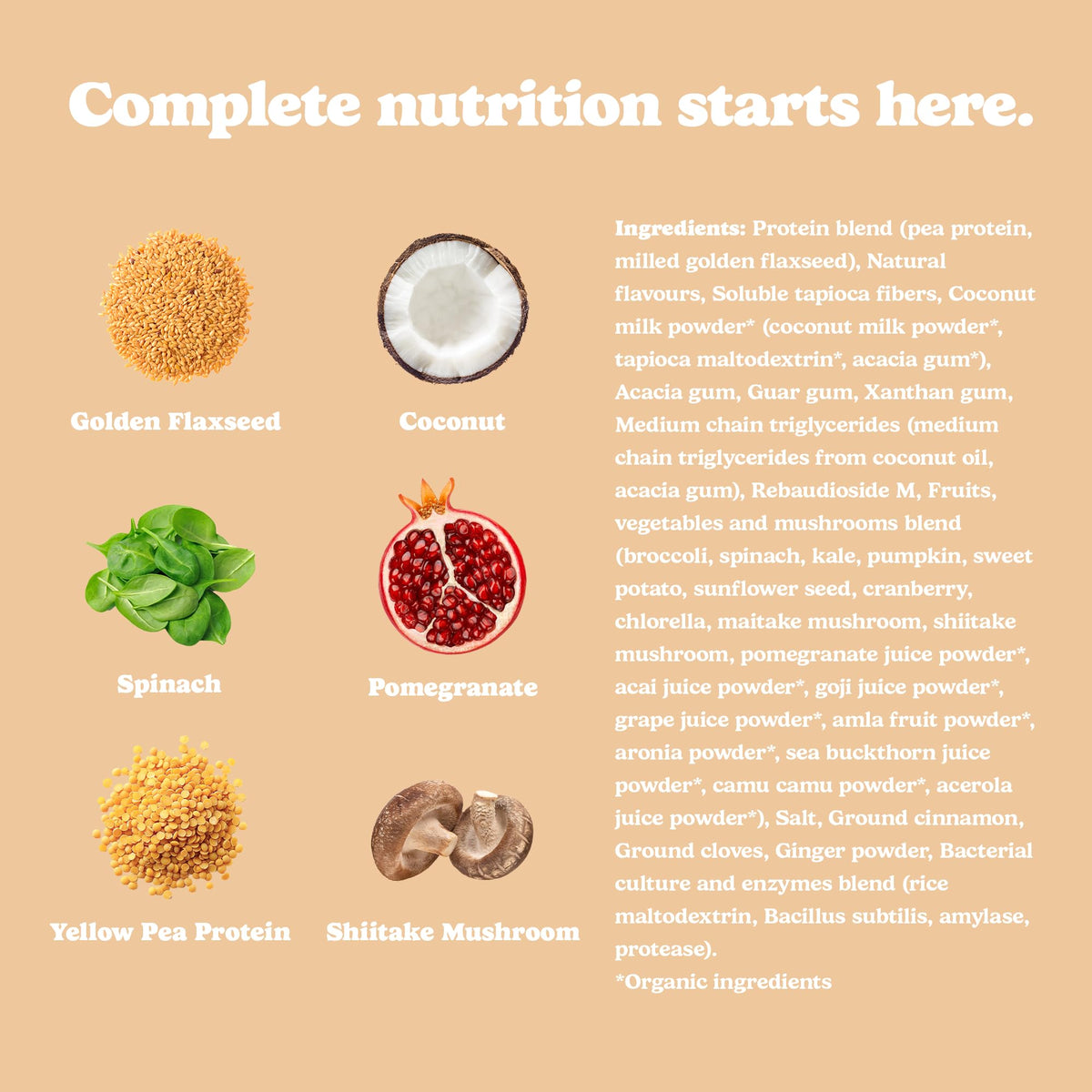 Good Protein All-in-One Shake, Plant-Based Protein Powder, Bananas & Cream