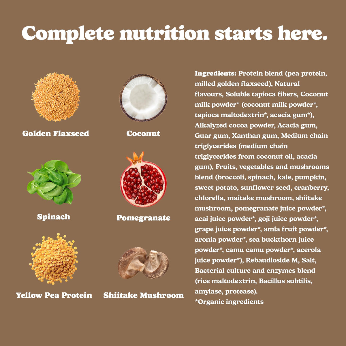 Good Protein All-in-One Shake, Plant-Based Protein Powder, Bananas & Cream