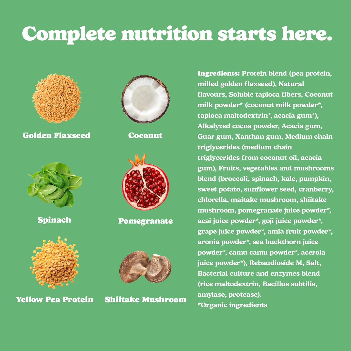 Good Protein All-in-One Shake, Plant-Based Protein Powder, Bananas & Cream