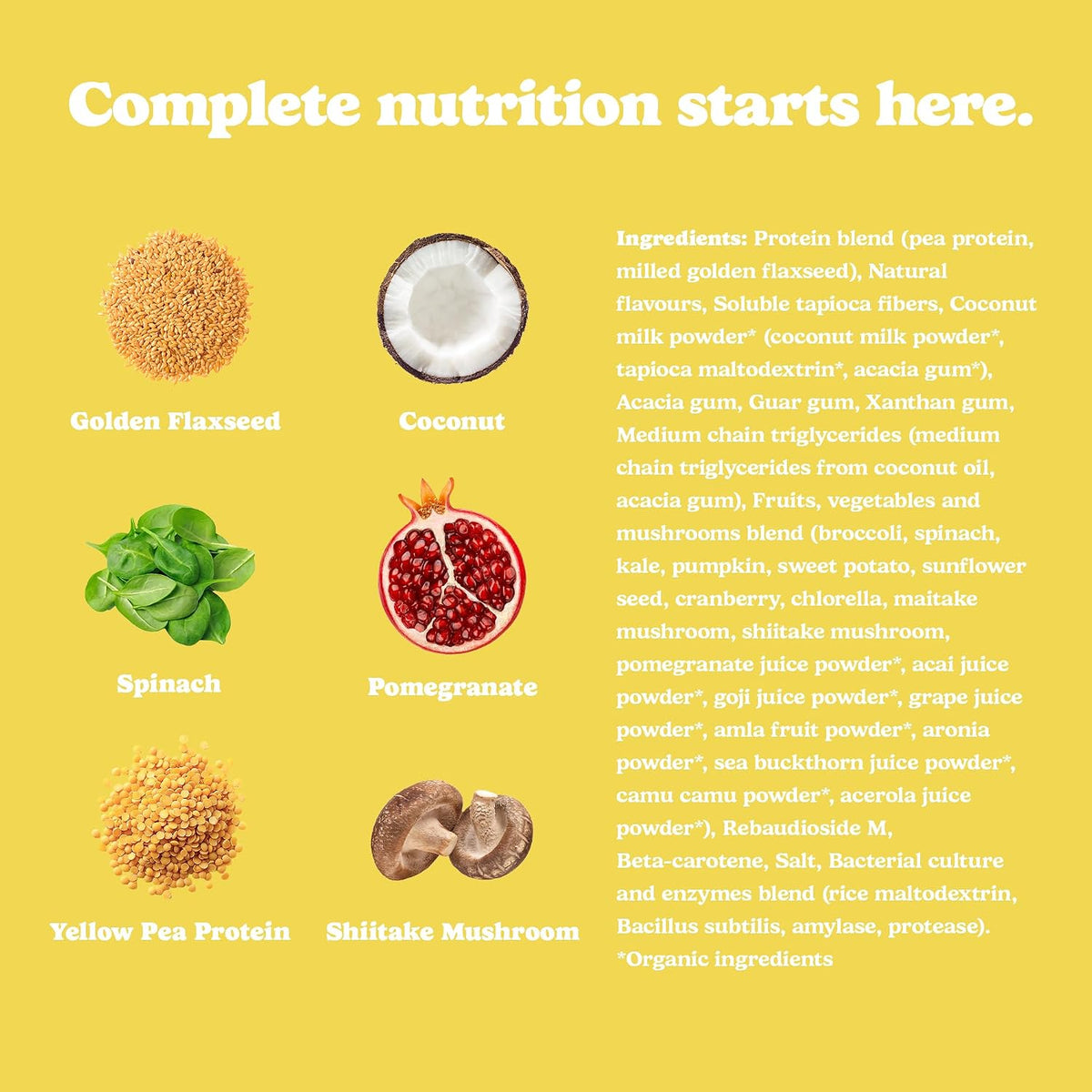 Good Protein All-in-One Shake, Plant-Based Protein Powder, Bananas & Cream
